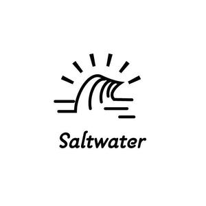 Ü design (ue_taro)さんのウェブマガジン「Saltwater Magazine」のロゴ制作への提案