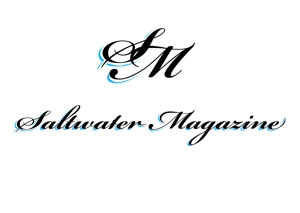 デザインオフィス　中商店 (ynaka48)さんのウェブマガジン「Saltwater Magazine」のロゴ制作への提案