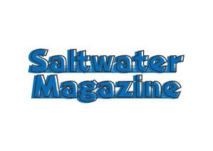 デザインオフィス　中商店 (ynaka48)さんのウェブマガジン「Saltwater Magazine」のロゴ制作への提案