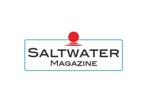 デザインオフィス　中商店 (ynaka48)さんのウェブマガジン「Saltwater Magazine」のロゴ制作への提案