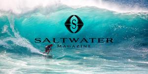 RANY YM (rany)さんのウェブマガジン「Saltwater Magazine」のロゴ制作への提案