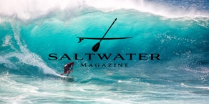 RANY YM (rany)さんのウェブマガジン「Saltwater Magazine」のロゴ制作への提案