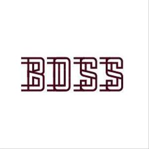 DD (TITICACACO)さんのカラオケBARの「BOSS」というお店のロゴへの提案