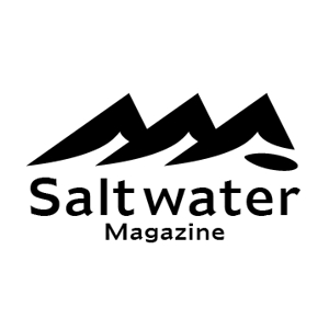 DD (TITICACACO)さんのウェブマガジン「Saltwater Magazine」のロゴ制作への提案