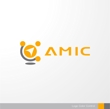 AMIC-1-1b.jpg