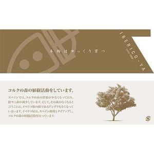 tanather (tanather)さんの箸袋のデザイン依頼への提案
