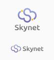 Skynet2.jpg
