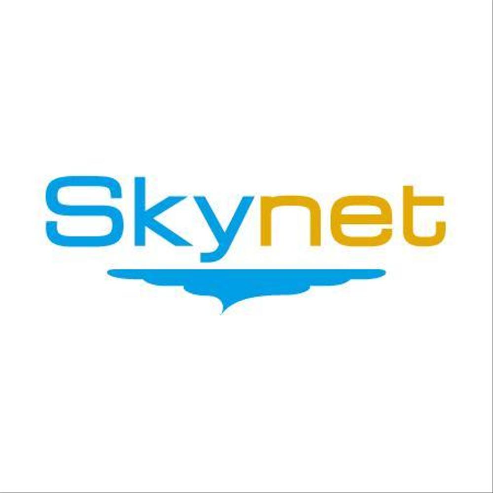 skynet_02.jpg