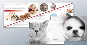 mia (mia-officina)さんの【他とは一味違う会社案内求む！】株式会社CARE PETSへの提案