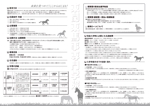 kurosuke7 (kurosuke7)さんのＡ３（裏表）馬の学校　募集要項のデザインをお願いします。（モノクロ）への提案
