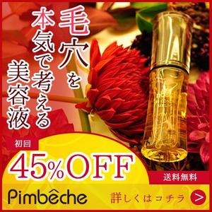 ハシモ (hashimo89)さんの毛穴美容液アフィリエイト用バナーへの提案