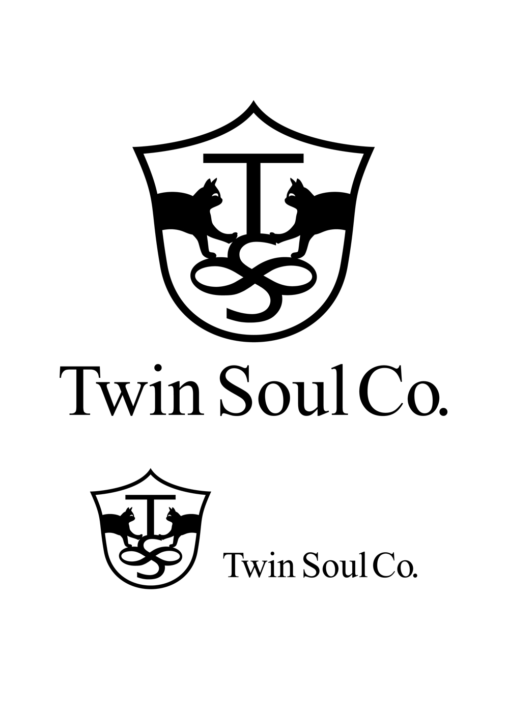 Twin Soul co.jpg