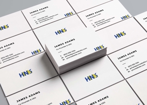 Alex_RM (Alex_RM)さんの新規設立会社：株式会社「HINAS」のロゴへの提案