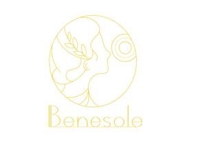 design_y (design_y)さんのドライフルーツの移動販売「Benesole（ベネソル）」のロゴへの提案