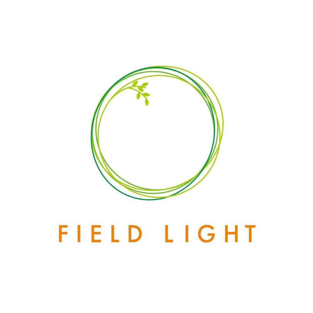 Field_Light_1.jpg