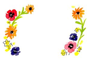 ミエ峰松 (mie-illust)さんの複数採用｜年賀状用に使用できるボタニカルなデザインへの提案