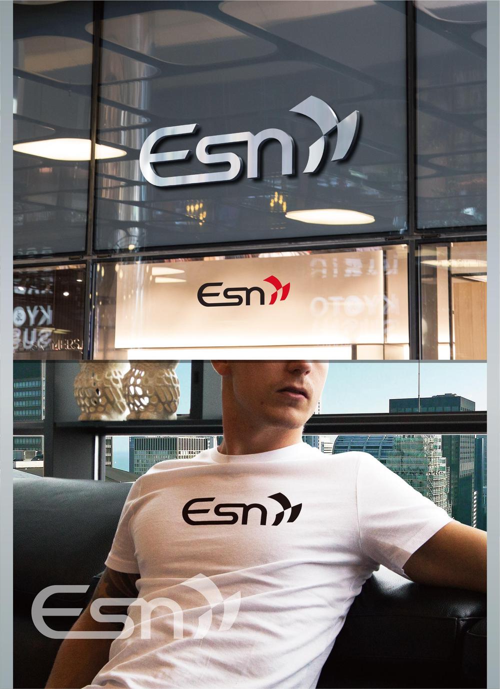 Esn_1.jpg