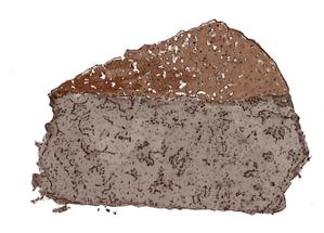 sakki (sakki1201)さんの濃厚チョコレートのデッサンイラスト作成への提案