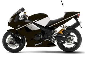 Shimad Design (シマド) (mizukikunkuruma)さんのバイク（Triumph Daytona 650）の外装（カスタムペイント）デザインへの提案