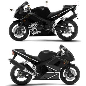 N’annex (kota04)さんのバイク（Triumph Daytona 650）の外装（カスタムペイント）デザインへの提案