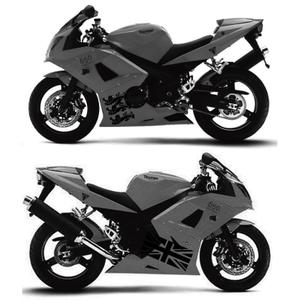 a1b2c3 (a1b2c3)さんのバイク（Triumph Daytona 650）の外装（カスタムペイント）デザインへの提案