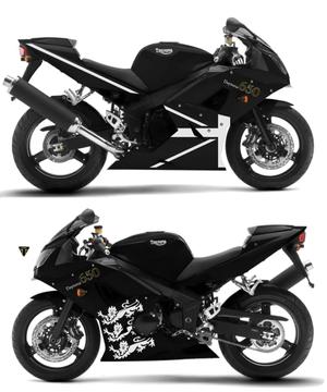 N’annex (kota04)さんのバイク（Triumph Daytona 650）の外装（カスタムペイント）デザインへの提案