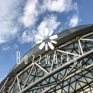 ookawa (family-ookawa)さんの社内研究開発チーム「Buzzworks」のロゴへの提案