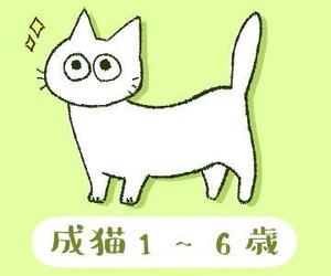 笹川佐藤 (sasakisatou)さんのかわいい猫のイラストへの提案