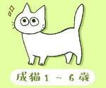 笹川佐藤 (sasakisatou)さんのかわいい猫のイラストへの提案