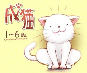 石川菜々子 (meryca)さんのかわいい猫のイラストへの提案