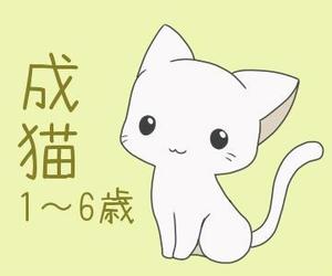 萩月つかさ ()さんのかわいい猫のイラストへの提案