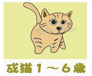 小田　一郎 (ichannel16)さんのかわいい猫のイラストへの提案