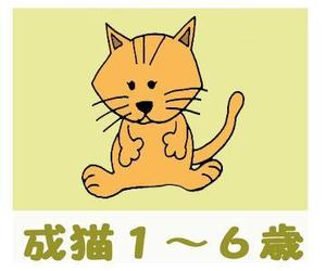小田　一郎 (ichannel16)さんのかわいい猫のイラストへの提案