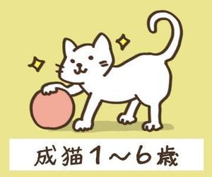 えむえー (rine2_0928)さんのかわいい猫のイラストへの提案