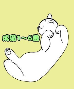 河野あすか ()さんのかわいい猫のイラストへの提案