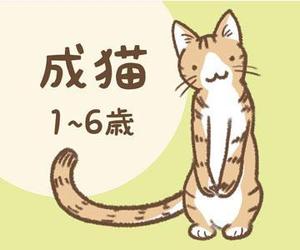 けんち蛍（けい） (ichi-bit)さんのかわいい猫のイラストへの提案