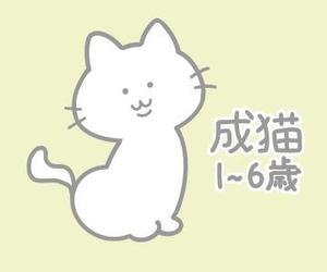 ぼぼち (onigiri_dayo)さんのかわいい猫のイラストへの提案