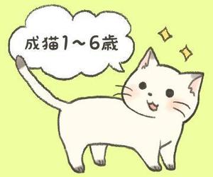 谷町 愛 (zuuuuuuuumin)さんのかわいい猫のイラストへの提案