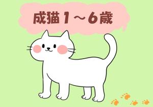 ねね子 (neneko)さんのかわいい猫のイラストへの提案