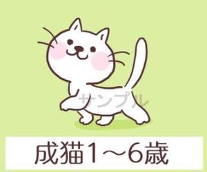 ゆもち (yumochi)さんのかわいい猫のイラストへの提案