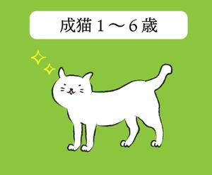 iron (kiyotsuna)さんのかわいい猫のイラストへの提案