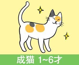 猫屋萬年堂 (nekoyamannendo)さんのかわいい猫のイラストへの提案