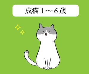 iron (kiyotsuna)さんのかわいい猫のイラストへの提案