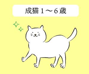 iron (kiyotsuna)さんのかわいい猫のイラストへの提案