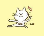 たんぽぽ (makinakahara)さんのかわいい猫のイラストへの提案