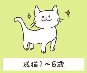 yukome (yukasabre)さんのかわいい猫のイラストへの提案