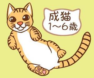 みかん (mikannu)さんのかわいい猫のイラストへの提案