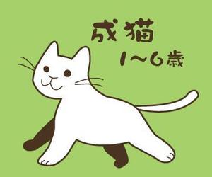 tukimitumikiさんのかわいい猫のイラストへの提案