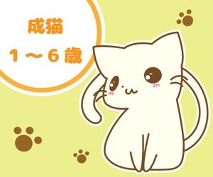 ゆどうふ ()さんのかわいい猫のイラストへの提案