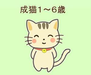花栗れとろ (yayaka730)さんのかわいい猫のイラストへの提案
